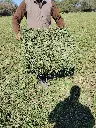 IMG_20230725_131056295.webp